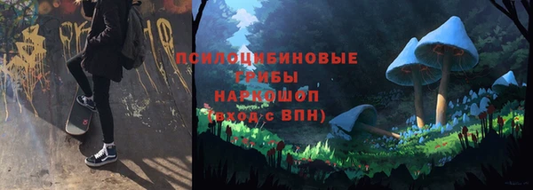 гидропоника Аркадак