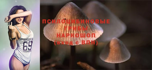 ГАЛЛЮЦИНОГЕННЫЕ ГРИБЫ Арсеньев