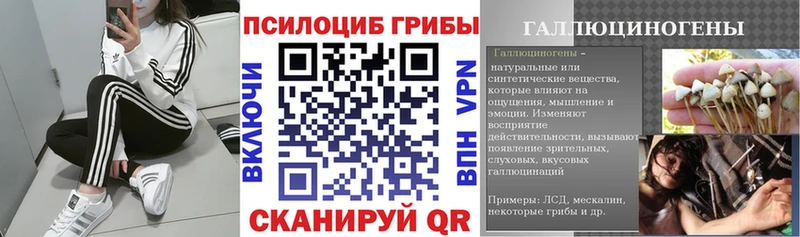 blacksprut онион  Сибай  Галлюциногенные грибы Cubensis  наркошоп 